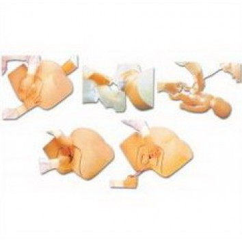 ADVANCED CHILDBIRTH COMPREHENSIVE SKILL TRAINING SIMULATOR (SOFT)